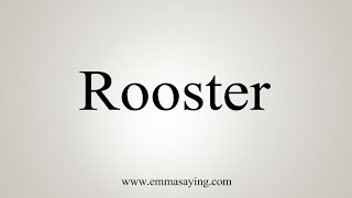 How To Say Rooster [upl. by Rothwell]