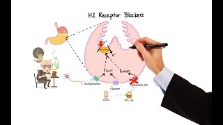 Pharmacology  ANTIHISTAMINES MADE EASY [upl. by Corine]