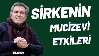 SİRKENİN FAYDALARI SİRKELİ SUYUN FAYDALARI SİRKE NEYE İYİ GELİR SİRKE NE İŞE YARAR [upl. by Gaivn]