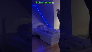 Wie verschiedene Sportarten ins Bett gehen 🛏️￼￼sports [upl. by Gainor294]