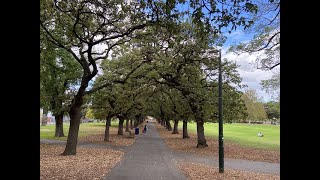 Fawkner Park South Yarra [upl. by Gader]