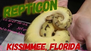 Repticon  Kissimmee Fl 2024 [upl. by Kress]