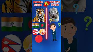 Bengal tiger Vs Siberian Tiger❓facts shors viralshorts tiger [upl. by Dikmen247]