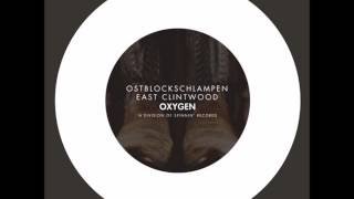 Ostblockschlampen  East Clintwood Extended Mix [upl. by Dawaj]