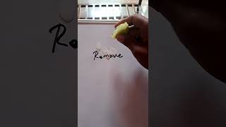 how to remove permanent marker citricacid shorts trending [upl. by Zerep]