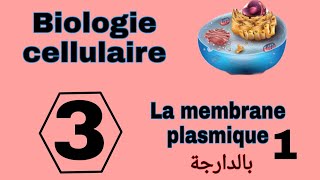 شرح بالدارجة لدرس membrane plasmique L1 من مادة Biologie cellulaire S1 Snv سنة اولى تخصص بيولوجي [upl. by Toile]