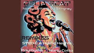 Celia Scat Norty Cotto Groove Scat Mix [upl. by Lanti3]