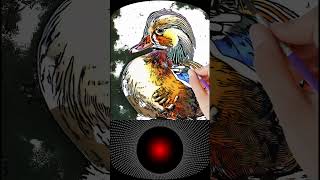 quotFaszinierende Mandarinente 🦆  Lebendige Naturkunst  ASMR Kunstprozessquot ASMR [upl. by Suoivatnod714]