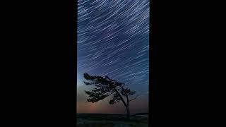 Killbear Park quotThe Treequot Star Trails Timelapse [upl. by Dorkas]