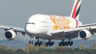 8 BIG PLANE LANDINGS  AIRBUS A380 A340500 A330  4K [upl. by Lubet]