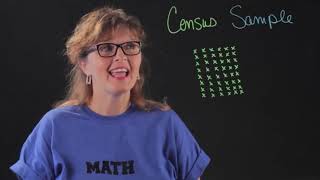 What Does a Census Sample Mean in Math [upl. by Trebron917]