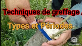 La principe de la greffe les arbres fruitiers  تطعيم جميع الأشجار المثمرة [upl. by Lener104]