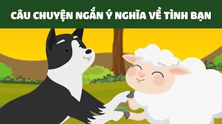 Ý NGHĨA CỦA TÌNH BẠN  PHIM HOẠT HÌNH  Câu Chuyện Ý Nghĩa  Quà Tặng Cuộc Sống  Nghệ Thuật Sống [upl. by Oren52]