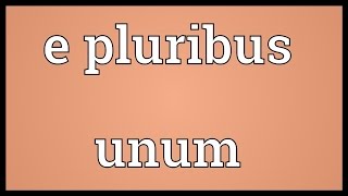 E pluribus unum Meaning [upl. by Dalury692]