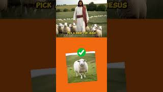 ⭐️ Jesus Quick Quiz [upl. by Tharp]