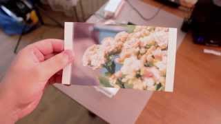 Canon Selphy CP800 Photo Printer  Unboxing and First Print [upl. by Easton]