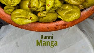 കണ്ണിമാങ്ങാ അച്ചാർ  Kannimanga Achar  Pickle Recipe  Sarang  Dakshina [upl. by Beuthel244]