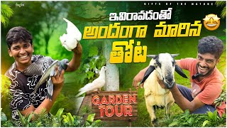 ఇప్పుడు మనతోట ఎలావుందో చూడండి🌳  విజయ్ ఇక్కడ కొన్నిరకాల పెంపుడు జంతువులు పెంచుతున్నాడు gardentour [upl. by Kohl]