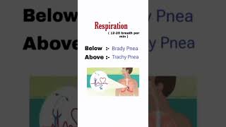 normal respiration rate normal rate of respiration normal respiration value [upl. by Aserahs]