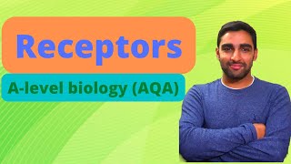 Receptors  Alevel Biology [upl. by Ahsetal]