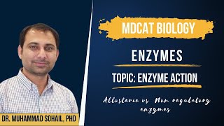 Mechanism of Enzyme Action  Allosteric vs Non Regulatory Enzymes [upl. by Nyleve]