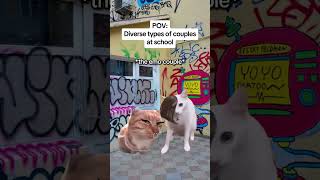 CAT MEMES 🐱Diverse types of couples at school catmemes relatable relationship [upl. by Essy936]