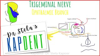 Trigeminal nerve  Ophthalmic division  kapdent [upl. by Anirat811]