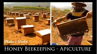 How its actually made honey  Apiculture of honey bees  Apiculture [upl. by Alecram]