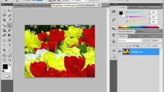 Photoshop CS5 Tutorial The Color Replacement Tool Adobe Training Lesson 55 [upl. by Ruby]