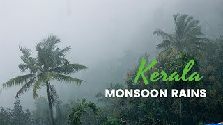 Why Kerala for Monsoon  Best Monsoon video [upl. by Russon658]