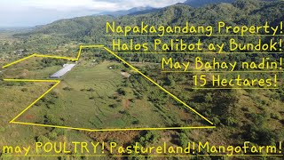 vlog 632 NAPAKAGANDANG Property May BahayPoultryMANGOFARMPastureland at RICELAND dito sa Lupao [upl. by Lund]