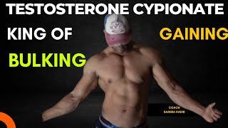 testosterone Cypionate Cycle  beginner steroid cycle  Gaining Cycle  bulking cycle [upl. by Attehcram]