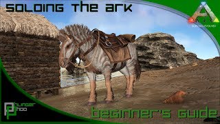 Soloing the Ark S4E7 Beginners Guide Equus taming [upl. by Anyrb108]