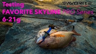 Shore Fishing in Dubai  Mangrove Jack Bream on soft bait [upl. by Bonnibelle312]