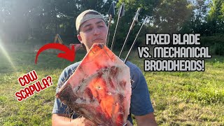 Fixed VS Mechanical BROADHEADS Heavy BONE IMPACT Test [upl. by Newcomb]