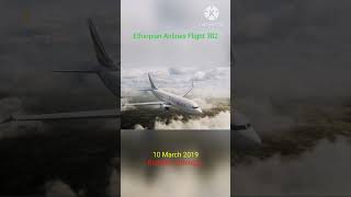 The Deadly Dive of Ethiopian Airlines Flight 302 [upl. by Karb690]