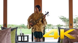 Okinawa Sanshin Music  三線 島唄  4K Ultra HD [upl. by Lauree304]