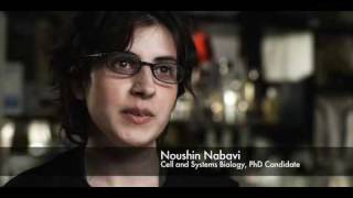 University of Toronto Noushin Nabavi Cell and Systems Biology PhD Candidate [upl. by Nolla]