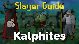 Kalphite Slayer Quick Guide OSRS [upl. by Bobette]