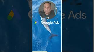 Google Ads Bot Traffic EXPERT Reveals Top Optimization Secrets [upl. by Dill351]