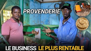 Comment Gagner de largent avec la PROVENDERIE en Afrique [upl. by Yspyg]