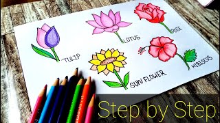 How To Draw A Five Flowers Step BY Step Easy Way  Tulip Rose Sun flower Lotus amp Hibiscus  Draw [upl. by Otrebmal]