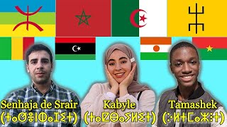 Can Tuaregs Kabyle and Sanhja Amazighs understand each other [upl. by Petrick809]