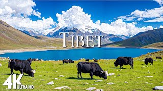 Tibet 4K UHD  Amazing Aerial Film Majestic Aerial Footage of Himalayan Landscapes  4K Video UHD [upl. by Howland]