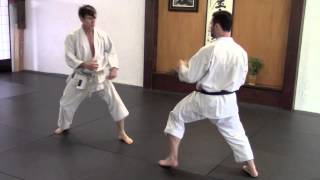 Karate Back Kick Ushiro Geri [upl. by Ajoop]