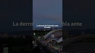 VIDEO Mujer calentó el partido de Colombia en Barranquilla levantándose la camiseta [upl. by Oiluarb883]