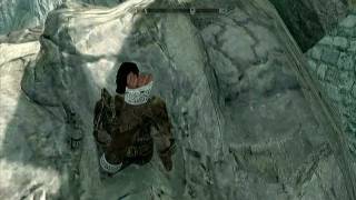 Liberation of Skyrim battle of Whiterun glitch fix [upl. by Eldwin]