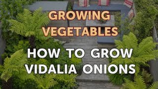 How to Grow Vidalia Onions [upl. by Lledra]