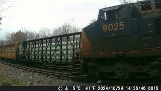 241103 South Facing Backyard Railcam [upl. by Twila]