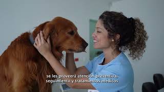 Veterinarias Públicas 🐕🐈 [upl. by Ridan]